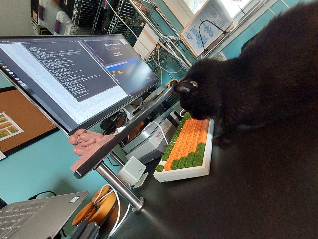 Gizmo the hacker cat